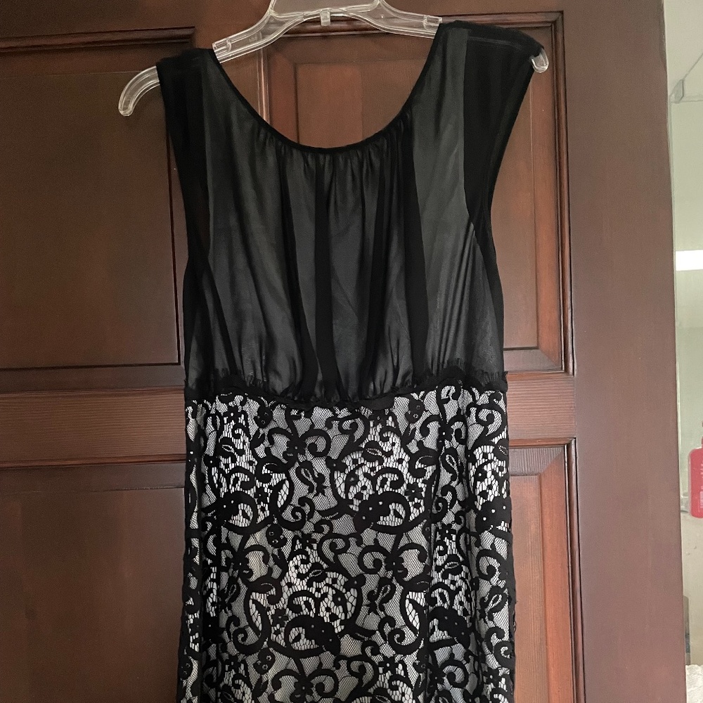 Max Studio Knee length (short, Dress)